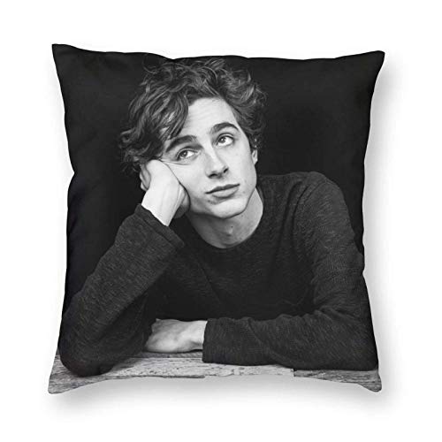 XCNGG Kissenbezug Timothee ChaLamet Square Pillow Case Comfy Cushion Cover Sofa Decorative 18"X18" von XCNGG