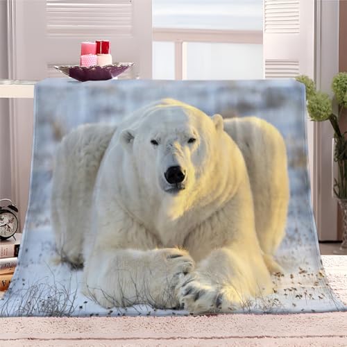 XCQHZYQ Kuscheldecke Eisbär 150x200 cm Fleecedecke Flanell Decke Wohndecken Couchdecke Flauschig Überwurf Mikrofaser Tagesdecke Sofadecke von XCQHZYQ