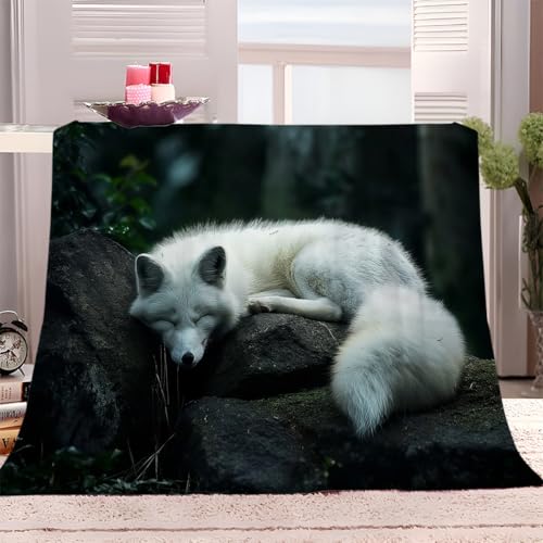 XCQHZYQ Kuscheldecke für Kinder Waldtier Weißfuchs 180x200 cm Decke Fleecedecke Sofadecke Kinderdecke, Superweiche Flanell Wohndecke Geschenke für Jungen Mädchen von XCQHZYQ
