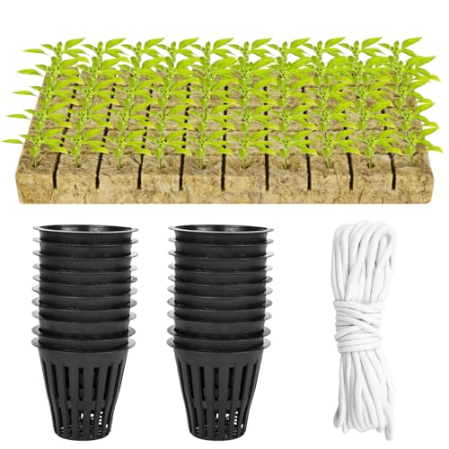 100 PCS Netzbecher Töpfe, Hydrokultur Korb Set, inklusive 50 2 Zoll Netzbechern mit Schlitzmaschen und 50 Steinwolle Pflanzwürfel Set mit 10 m Selbstbewässerndem Docht für Innen und Außenbereich von XCRPRT