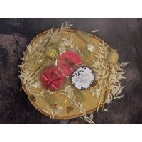 Elain Wax Melt - Offiziell Lizenziertes A Court Of Thorns & Roses Selbstgemachte Wachsschmelze Elain Wax Melt - Offiziell Lizenziertes A Court Of Thorns & Roses Selbstgemachte Wachsschmelze von XCVofficialshop