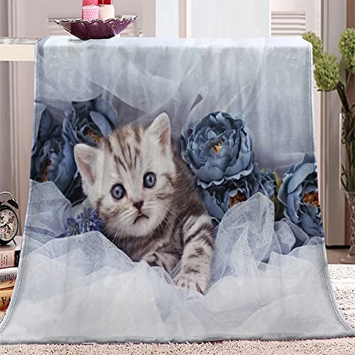 Kuscheldecke 130x150 süße Katze, Flanell Fleecedecke 3D süße Katze Weiche und Warme Decke, als Sofadecke Wohndecke Tagesdecke Wolldecken, für Kinder Erwachsene von XCWDC