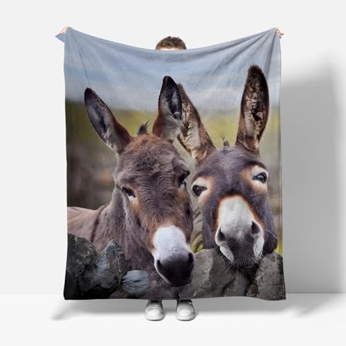 XCWYF Kuscheldecke Tier Esel 180x220cm Warm Sherpa Sofaüberwurf Decke, Dicke Sofadecke Couchdecke, Flauschige Wohndecke für Couch von XCWYF