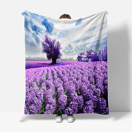 XCWYF Kuscheldecke lila Lavendel 150x200cm Decke Wohndecke Tagesdecke Sofadecke Fleecedecke Mikrofaser Flauschig Weiche Warm Couchdecke von XCWYF