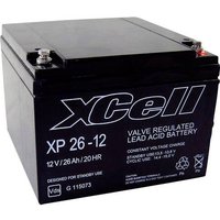 XCell XP2412 XCEXP2612 Bleiakku 12V 26Ah Blei-Vlies (AGM) (B x H x T) 165 x 127 x 176mm M5-Schrauban von XCell