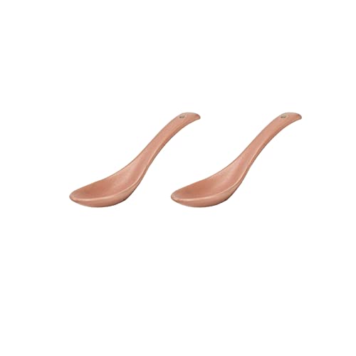 Esslöffel, 2er-Pack, Keramiklöffel, Esslöffel für Zuhause, Suppenlöffel, matt glasierter Löffel, Servierlöffel,C von XDAWQP