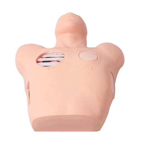 XDAWQP Anatomisches Modell für Drainage-Handgelenk, Toracozentese und Drainage, Simulator für Schulunterricht in Medizin von XDAWQP