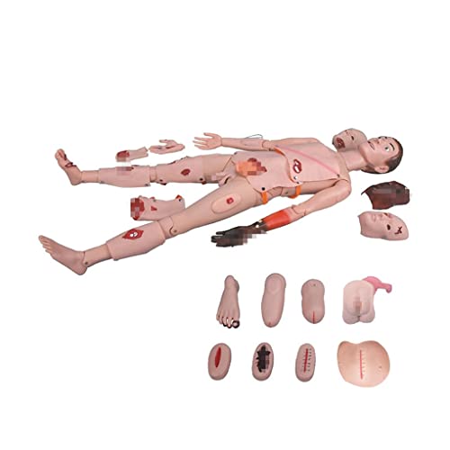 XDAWQP Fortschrittlicher Trauma-Aufmerksamkeitssimulator, multifunktionale Mannequin zur Versorgung von Traumata, anatomisches menschliches Modell in Echtgröße, Simulator für die Patientenversorgung von XDAWQP