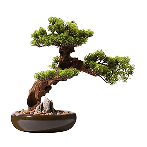 XDAWQP Künstliche Pflanze Künstliche Pflanze Moderne Neue Chinesische Simulation Willkommen Kiefer Gefälschte Grüne Pflanze Ornamente Arbeitszimmer Zen Ornamente Büro Bonsai Künstliche Zimmerpflanzen XDAWQP Künstliche Pflanze Künstliche Pflanze Moderne Neue Chinesische Simulation Willkommen Kiefer Gefälschte Grüne Pflanze Ornamente Arbeitszimmer Zen Ornamente Büro Bonsai Künstliche Zimmerpflanzen von XDAWQP