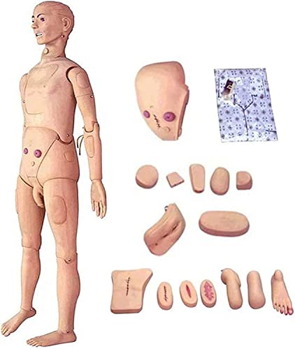 XDAWQP Mannequin für Geschicklichkeitstraining, 170 cm, professionelle männliche Schaufensterpuppe, menschliches Modell für Arzttraining, Simulation von Fähigkeiten von XDAWQP