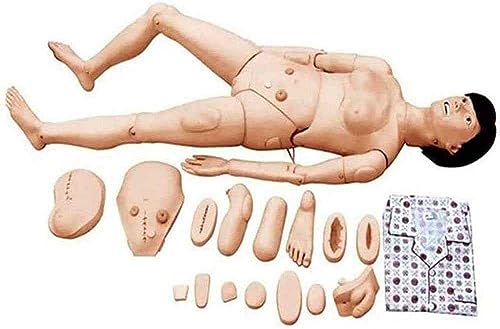XDAWQP Pädagogisches Modell, mit Ausbildung der männlichen und weiblichen Genitalien, Mannequin für Pflegepuppe, Mannequin von XDAWQP