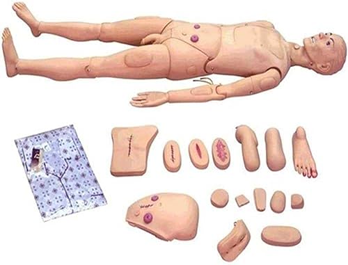 XDAWQP Simulator für Patientenversorgung aus PVC, multifunktionales Bildungsmodell, austauschbar, männlich und weiblich, für den Unterricht in der Krankenpflege von XDAWQP