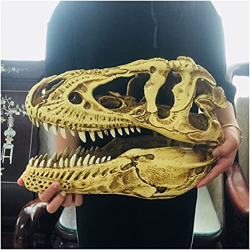 XDAWQP T-Rex Schädel Replik Modell Simulierte Tyrannosaurus Rex Tier Skelett Home Office Decor Handwerk Desktop Ornament Lehre Prop von XDAWQP