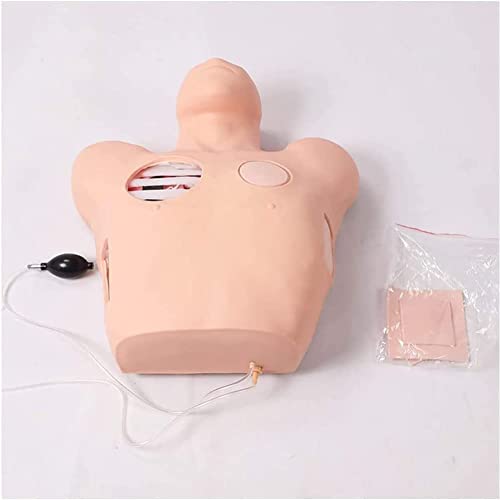 XDAWQP Torakozentese-Torakozentese-Torakose-Drainage, anatomisches Modell, Trainingsmodell, Modell Pneumothorax nach einem Trauma von XDAWQP
