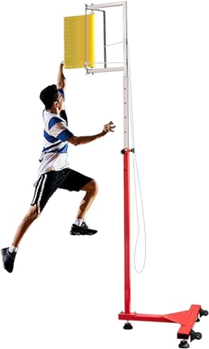 XDAWQP Vertikaler Sprungtester, Sprungmesswerkzeug, Sprungtest-Beurteilungswerkzeug Für Athleten, Bodenstehender Hochsprungtrainer，3m von XDAWQP