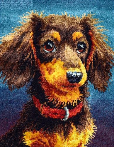 XDEGHUANGSS DIY Latch Hook Kit für Erwachsene und Kinder,Knüpfteppich Set mit vorbedrucktem Motiv,Kreatives Rug Hooking Set für Einsteiger & Fortgeschrittene,Dackel-80x115cm von XDEGHUANGSS