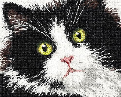 XDEGHUANGSS DIY Latch Hook Kit für Erwachsene und Kinder,Knüpfteppich Set mit vorbedrucktem Motiv,Kreatives Rug Hooking Set für Einsteiger & Fortgeschrittene,Schwarz-weiße Katze-80x115cm XDEGHUANGSS DIY Latch Hook Kit für Erwachsene und Kinder,Knüpfteppich Set mit vorbedrucktem Motiv,Kreatives Rug Hooking Set für Einsteiger & Fortgeschrittene,Schwarz-weiße Katze-80x115cm von XDEGHUANGSS