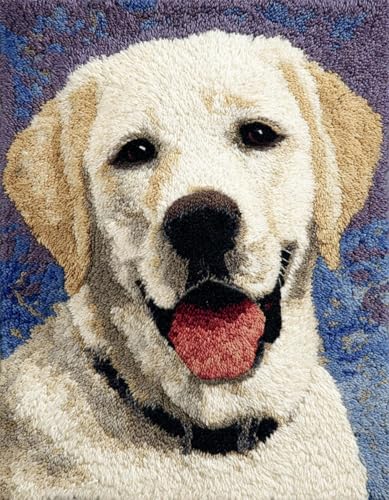 XDEGHUANGSS Kreatives Knüpfen für Familien: Latch Hook Rug Kit mit Vorlage,DIY Teppich Selbst Machen Set inkl. Wolle & Werkzeug,als Geschenk für Kinder und Erwachsene,Labrador-90x120cm von XDEGHUANGSS