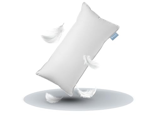 XDREAM Premium Daunenkissen Federkopfkissen | Hülle: 100% Baumwolle | Füllung: 100% Daunen & Federn | Füllgewicht: 450 g | 40 x 60 cm XDREAM Premium Daunenkissen Federkopfkissen | Hülle: 100% Baumwolle | Füllung: 100% Daunen & Federn | Füllgewicht: 450 g | 40 x 60 cm von XDREAM