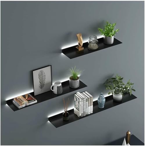 XDRGOOIUY Modernes Schwimmendes Regal Mit Integriertem LED -Licht Für Pflanzen Oder Bücher Metallwandmontage (1 Stück) von XDRGOOIUY