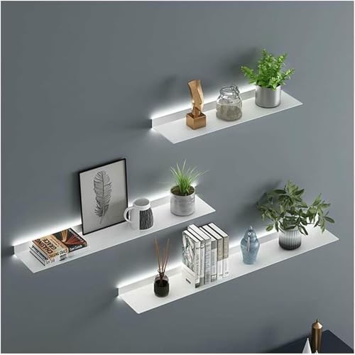 XDRGOOIUY Modernes Schwimmendes Regal Mit Integriertem LED -Licht Für Pflanzen Oder Bücher Metallwandmontage (1 Stück) von XDRGOOIUY