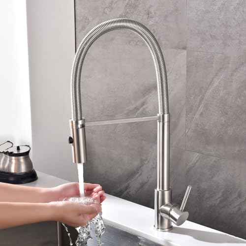 Wasserhahn Küche Feder Ausziehbarer Schwanenhals 2 Modus Spültischarmatur Gebürstetem Edelstahl,Gebürstet von XDSMB
