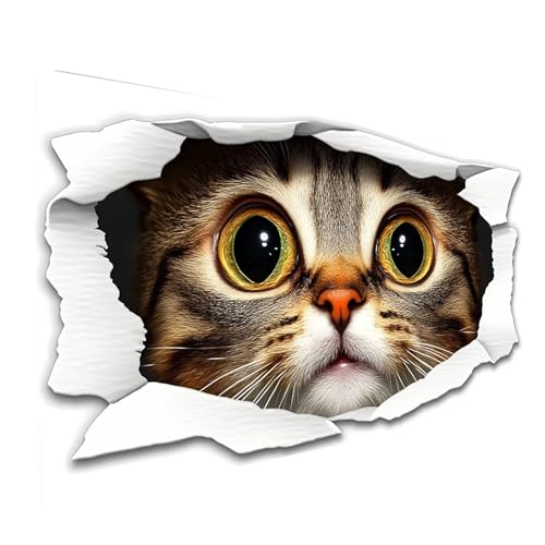 5D Diamond Painting Erwachsene Katze Square Volldiamant Malen Nach Zahlen Weiß, Diamant Strasssteine DIY Set mit Diamond Painting Zubehör, Bastelset Erwachsene für Zimmer Deko 160x80cm Model-08839 5D Diamond Painting Erwachsene Katze Square Volldiamant Malen Nach Zahlen Weiß, Diamant Strasssteine DIY Set mit Diamond Painting Zubehör, Bastelset Erwachsene für Zimmer Deko 160x80cm Model-08839 von XELIETOO