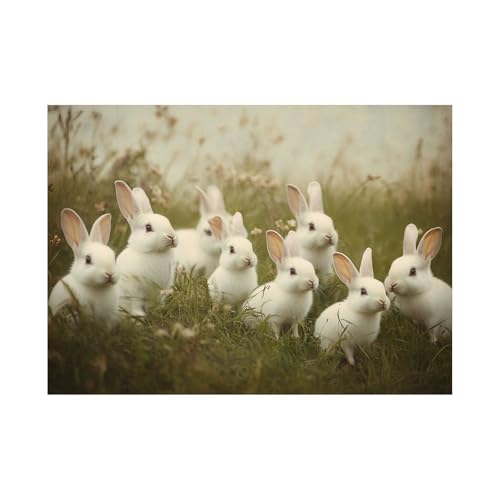 XENIOU osterdeko modern, Kaninchen zeichnet im Gras kunstdruck poster, für Schlafzimmer, Wohnzimmer, Badezimmer, Wandkunst, Bauernhaus-Dekor - 40x60cm Ungerahmt(weiß) von XENIOU