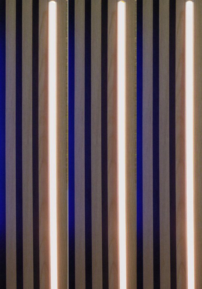 XENON LED Dekolicht 3378 LED Leuchte Kunst. Schiene weiß 3x150cm inkl. Netzteil Warm Weiß, Xenon / Warm Weiß XENON LED Dekolicht 3378 LED Leuchte Kunst. Schiene weiß 3x150cm inkl. Netzteil Warm Weiß, Xenon / Warm Weiß von XENON