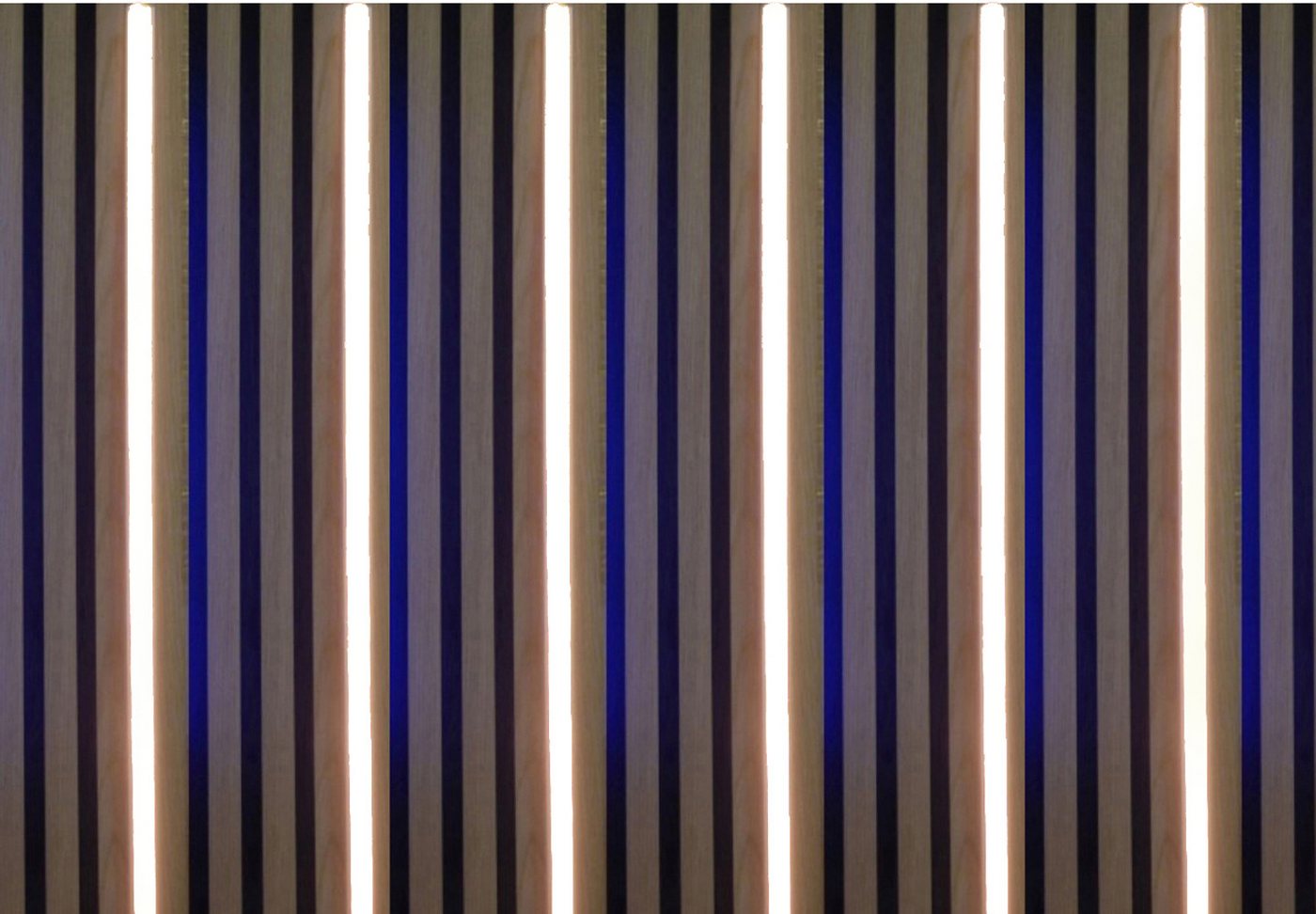 XENON LED Dekolicht 3659 LED Leuchte für Holz-Akustik-Paneele Netzteil 6x50cm Kalt Weiß, Xenon / Kalt Weiß von XENON