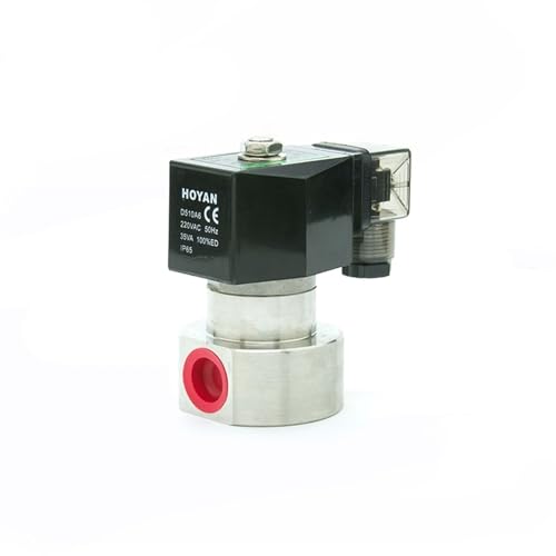 1/8 "1/4" Hochdruck-Magnetventil aus Edelstahl 100bar/200bar 220V 110V 24V 12V(45661,220VAC-100 BAR) von XEOWHUPG