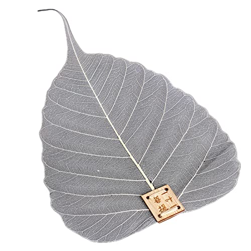 Umweltfreundlicher Bodhis Leaf Tea Leak Filter for Creative Kung Fu Mesh Hollow Out Filters Tea Sets Tea Strainers Tea Fu Leaf Tea Filter Umweltfreundlicher Bodhis Leaf Tea Leak Filter for Creative Kung Fu Mesh Hollow Out Filters Tea Sets Tea Strainers Tea Fu Leaf Tea Filter von XEYYHAS