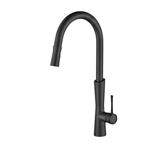 Moderne matte schwarze Kronleuchter Küchenarmatur Eingriff Steuersenke Wasserhahn mit 2 -Modus -Auslass für heißes und kaltes Wasserkupferguss -Design Küchenhahn von XFLSDHGD