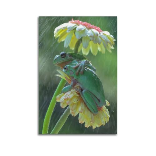 XFPMXC Tierposter, zwei grüne Frösche sitzend auf einer gelben und rosa Blume im leichten Regen, dekoratives Gemälde, Leinwand, Wandkunstwerk, Bild, 40 x 60 cm XFPMXC Tierposter, zwei grüne Frösche sitzend auf einer gelben und rosa Blume im leichten Regen, dekoratives Gemälde, Leinwand, Wandkunstwerk, Bild, 40 x 60 cm von XFPMXC
