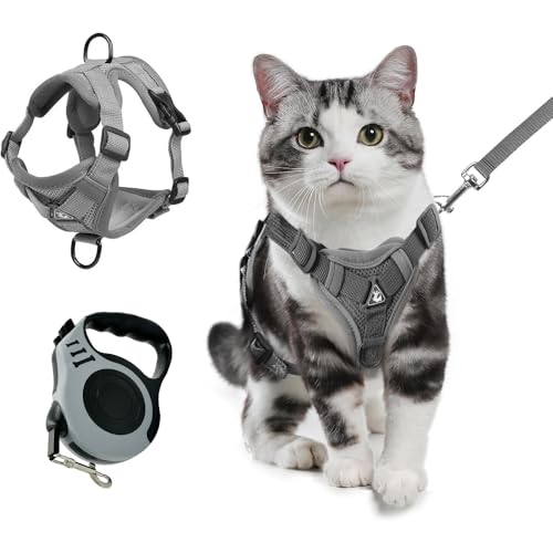 XFSRG Ausbruchsicheres Katzengeschirr mit Leine für Kätzchen und Welpen als atmungsaktive Netzjacke mit Reflektorstreifen für Outdoor Abenteuer (Grau M) von XFSRG