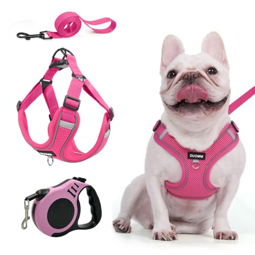 XFSRG Brustgeschirr mit Leine für Hunde in Leuchtendem Pink Atmungsaktives Hundegeschirr für Kleine Hunde und Welpen Verstellbares Geschirr mit Reflektierenden Streifen (L) von XFSRG