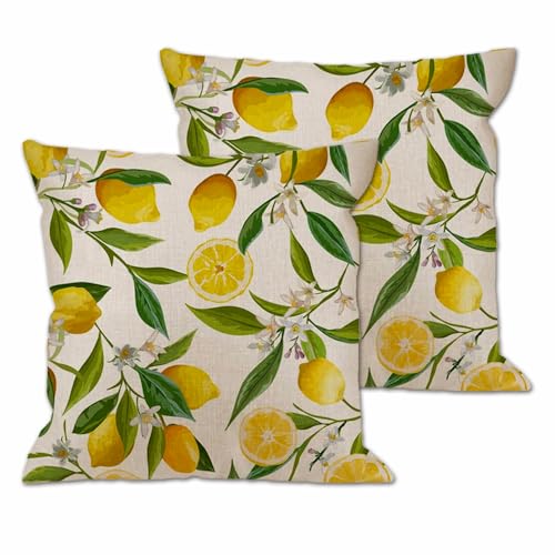 XFSRG Housse De Coussin 45x45 Citron Design Coussin Décoratif Extérieur Imperméable Pour Salon De Jardin von XFSRG