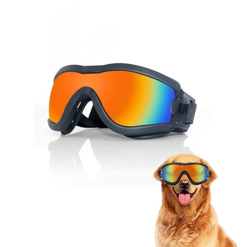 XFSRG Hundebrille Sonnenbrille für Hunde Winddicht und Staubdicht mit UV-Schutz Verstellbar Winddicht Stylisch Haustier Augenschutz für Outdoor Aktivitäten (M) von XFSRG