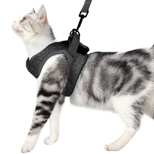 XFSRG Katzengeschirr Bequem und Atmungsaktiv Fluchtverhinderung Katzengeschirr Starker Klettverschluss Verstellbar Haustierzubehör XFSRG Katzengeschirr Bequem und Atmungsaktiv Fluchtverhinderung Katzengeschirr Starker Klettverschluss Verstellbar Haustierzubehör von XFSRG