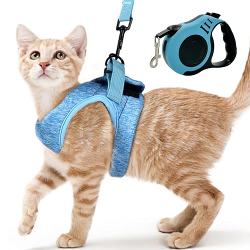 XFSRG Katzengeschirr mit Leine Ausbruchsicher Atmungsaktives und Weiches Geschirr Katzen Verstellbare Passform Komfort Perfekt für Spaziergänge Reisen (Himmelblau, M) von XFSRG