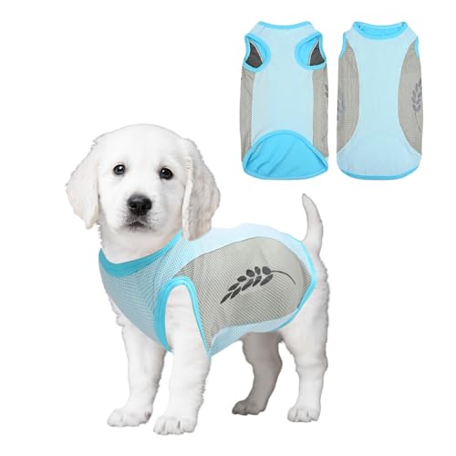 XFSRG Kühlweste Hund Bekleidung & Zubehör Sommer Hundeshirt für Kleine Hunde Atmungsaktiv Flexibel Stilvoll für Kleine Mittel Groß Hunde (M) von XFSRG