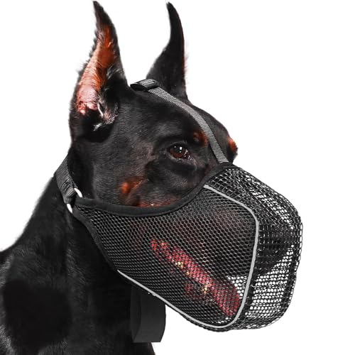 XFSRG Maulkorb Für Große Hunde Atmungsaktiv Leicht Baskerville Maulkorb Hund Spaziergänge Tierarztbesuche (Schwarz, M) von XFSRG