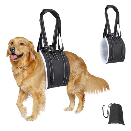 XFSRG Tragehilfe Hund Hinten Lift Support Geschirr Tragbaren Schnalle auf der Rückseite Hundegeschirr für Behinderte Verletzte oder Ältere Hunde(Schwarz/L) von XFSRG