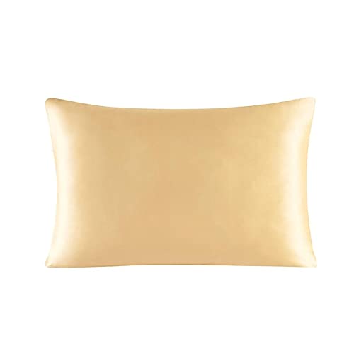 Wie EIN Brish Reißverschluss Kissenbezug 1 PC 30 mm Maulbeer-Seide Feste Farbe bequem viele Größen (Farbe: 8-Champagne, Größe: 40x60 cm) von XFZJCHAP
