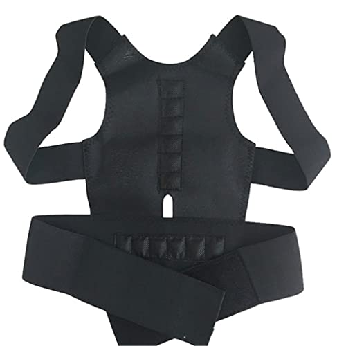 XFZJCHAP Korrektor Rücken gerade Klassengürtel Magnetische Korrekturtherapie Korsett Lumbalstütze gerade männliche weibliche Klammergürtel (Wit, L) von XFZJCHAP