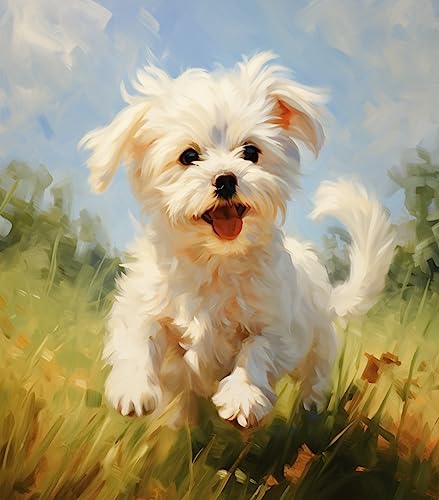 XHHZ Tier Hund Malen nach Zahlen Paket Ölgemälde 16'' x 20'' Bretter nach Zahlen Heimdekoration für Kinder Handarbeit Kunst-Malteser Hund XHHZ Tier Hund Malen nach Zahlen Paket Ölgemälde 16'' x 20'' Bretter nach Zahlen Heimdekoration für Kinder Handarbeit Kunst-Malteser Hund von XHHZ