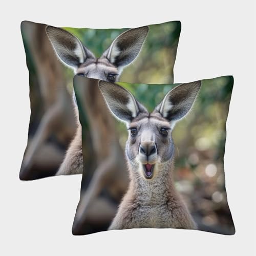 XHSMSHWY Känguru Kissen Bezug 2er Set Tier Kissenbezug Zierkissen Für Sofa Schlafzimmer Couch Outdoor Kissen 40x40cm von XHSMSHWY
