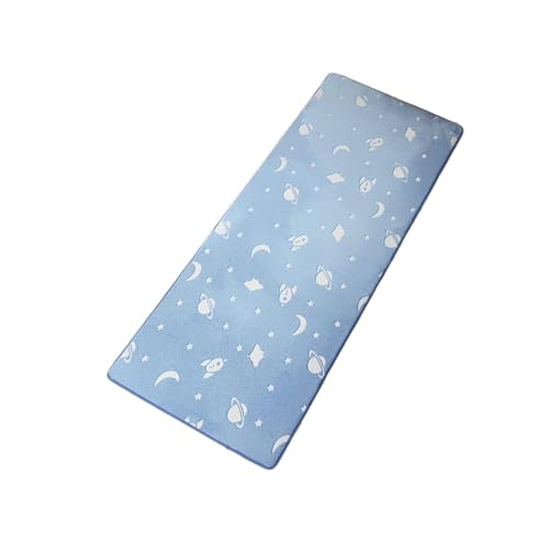 XHZMDWOU Fußmatte Innen Weiche Bodenmatte for Wohnzimmer, Schlafzimmer, Nachttisch, Moderne, Einfache Dekoration Fußabtreter Für Eingang(Blue,40x120cm) von XHZMDWOU