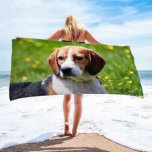 Strandtuch HellgrüNer Beagle Mikrofaser Handtuch Strandlaken GrößE Handtuch Schnell Trocknen Strandhandtuch Herren Frauen BadetüCher, HandtüCher, StrandtüCher 90x180cm von XIAMANG