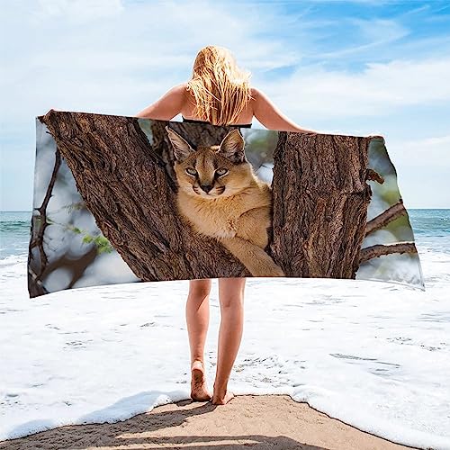 Strandtuch Karakal Himmelblau Mikrofaser Handtuch Strandlaken GrößE Handtuch Schnell Trocknen Strandhandtuch Herren Frauen BadetüCher, HandtüCher, StrandtüCher 100x200cm von XIAMANG